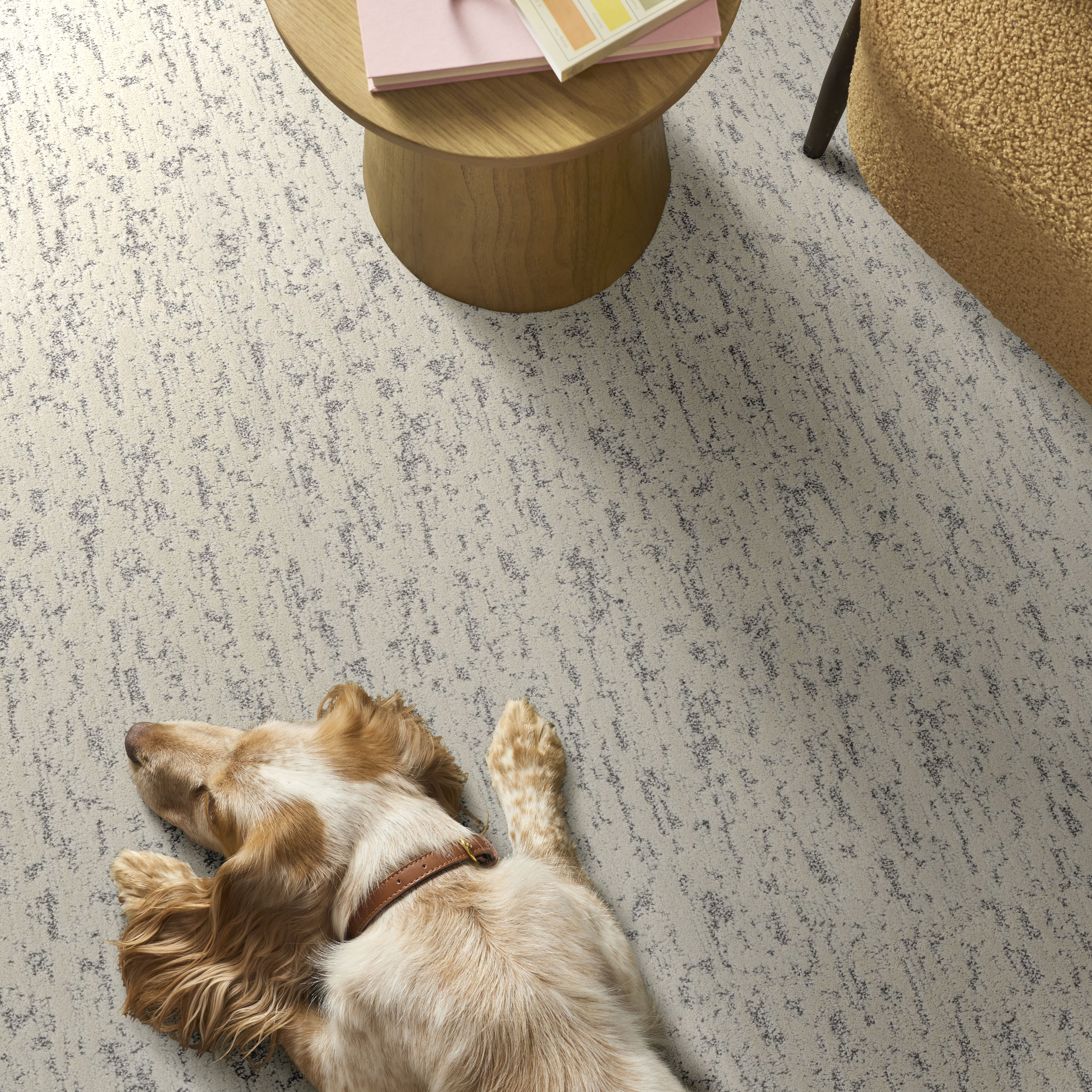 フォーカススリム for salon Calm Expression - Soft Focus Carpet | Shaw Floors